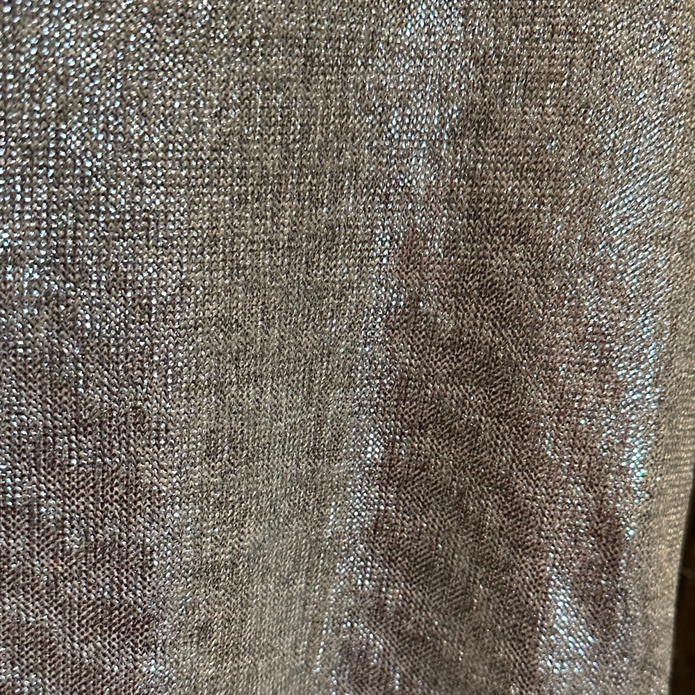 Tyche Shimmering Silver V-Neck Blouse - Picture 3 of 5